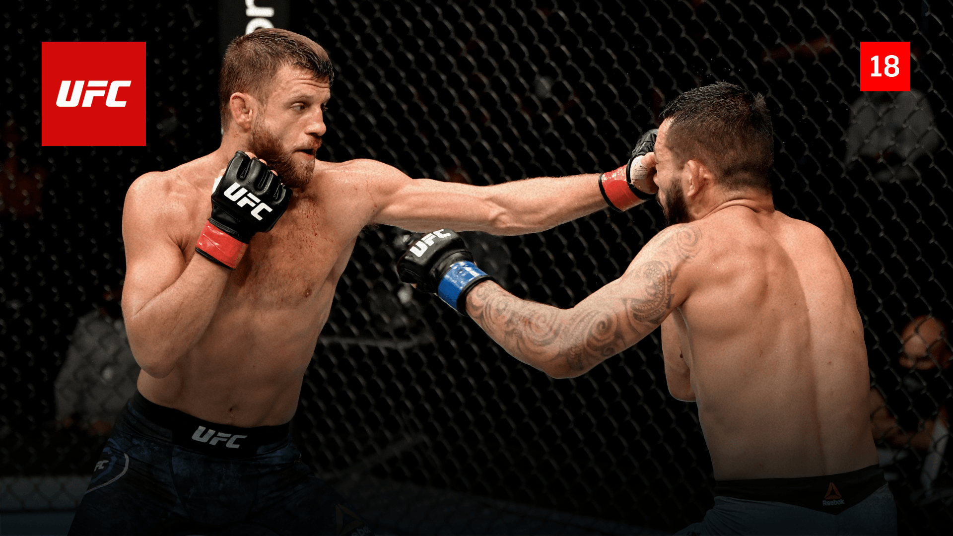 Ver UFC Fight Night | Kattar vs. Ige Online en Directo ...